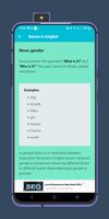 Nouns in english 截图 2
