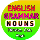 English Grammar: Nouns icône
