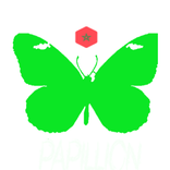 2Bac-Sciences Economie