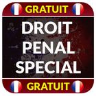 Droit Penal Special icon