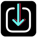 SknapTik - TT Downloader Video APK