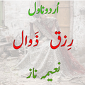 Rizq E Zawal