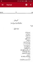 Namal Novel (Urdu) imagem de tela 1