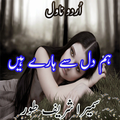 Ham Dil Se Haare Hain