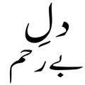 Urdu Novels offline Reading
