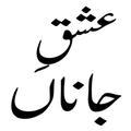 Urdu Novels offline Reading