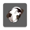 Weigh Your Guinea Pigs: Guinea