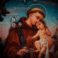 St Anthony of Padua Novena