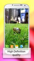 Fantastic Backgrounds 截圖 1