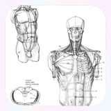 Drawing Human Body Tutorial icon