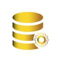 Database Query Engine