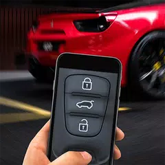 Simulator car key