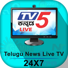 Telugu News Live TV أيقونة