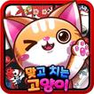 맞고치는 고양이