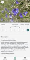 Pirin NP screenshot 3