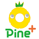 APK Pine+