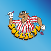 Bullseye icon
