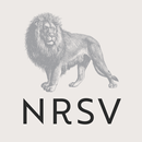 NRSV: Audio Bible for Everyone APK