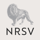 NRSV: Audio Bible for Everyone icône