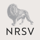 NRSV: Audio Bible for Everyone ikon