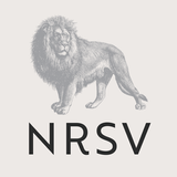 NRSV: Audio Bible for Everyone