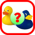 Guess the DUCKs