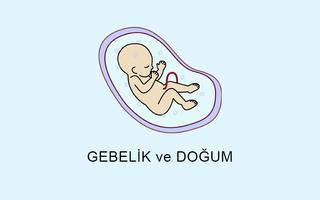 Gebelik ve Doğum Poster