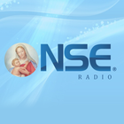 NSE Radio-icoon