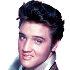 Elvis Presley HD Wallpapers icône