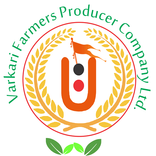 Varkari Farmers producer company Ltd