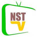 NST TV Indonesia Semua Saluran APK