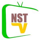 NST TV Indonesia Semua Saluran icône