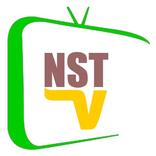”NST TV Indonesia Semua Saluran