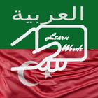 Practice Arabic Turkish Words icon