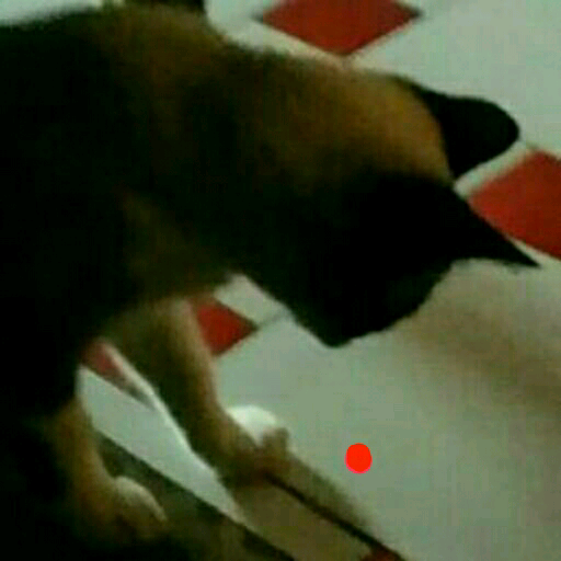Juego láser para gatos