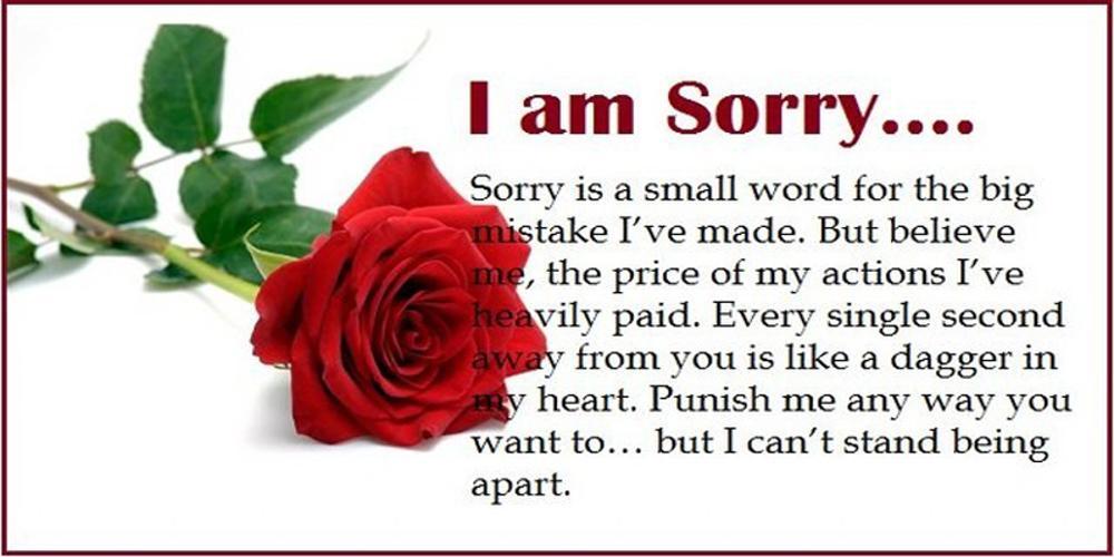 Что означает messages. Sorry. Hehe sorry sorry. Sorry фотографии. L am sorry.