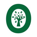 Otipy:Fresh Vegetable & Fruits