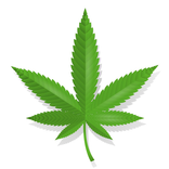 Oldthoug Fan Simulator