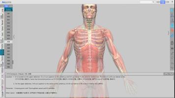 3 Schermata Acupoints