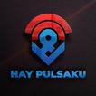 HAY PULSAKU