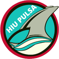 Hiu Pulsa