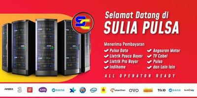 SULIA PULSA poster