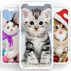 Cats Wallpapers - Cute Backgrounds ikon