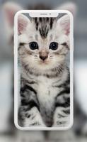 Cats Wallpapers - Cute Backgrounds capture d'écran 2