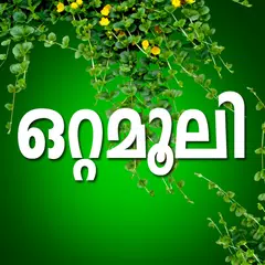download Ottamoolikal Malayalam APK