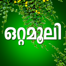 Ottamoolikal Malayalam APK