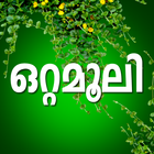 Ottamoolikal أيقونة
