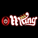 OttKing Pro Edition APK
