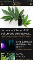 1 Schermata CBD Privé.com
