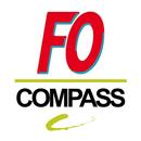 FO COMPASS APK